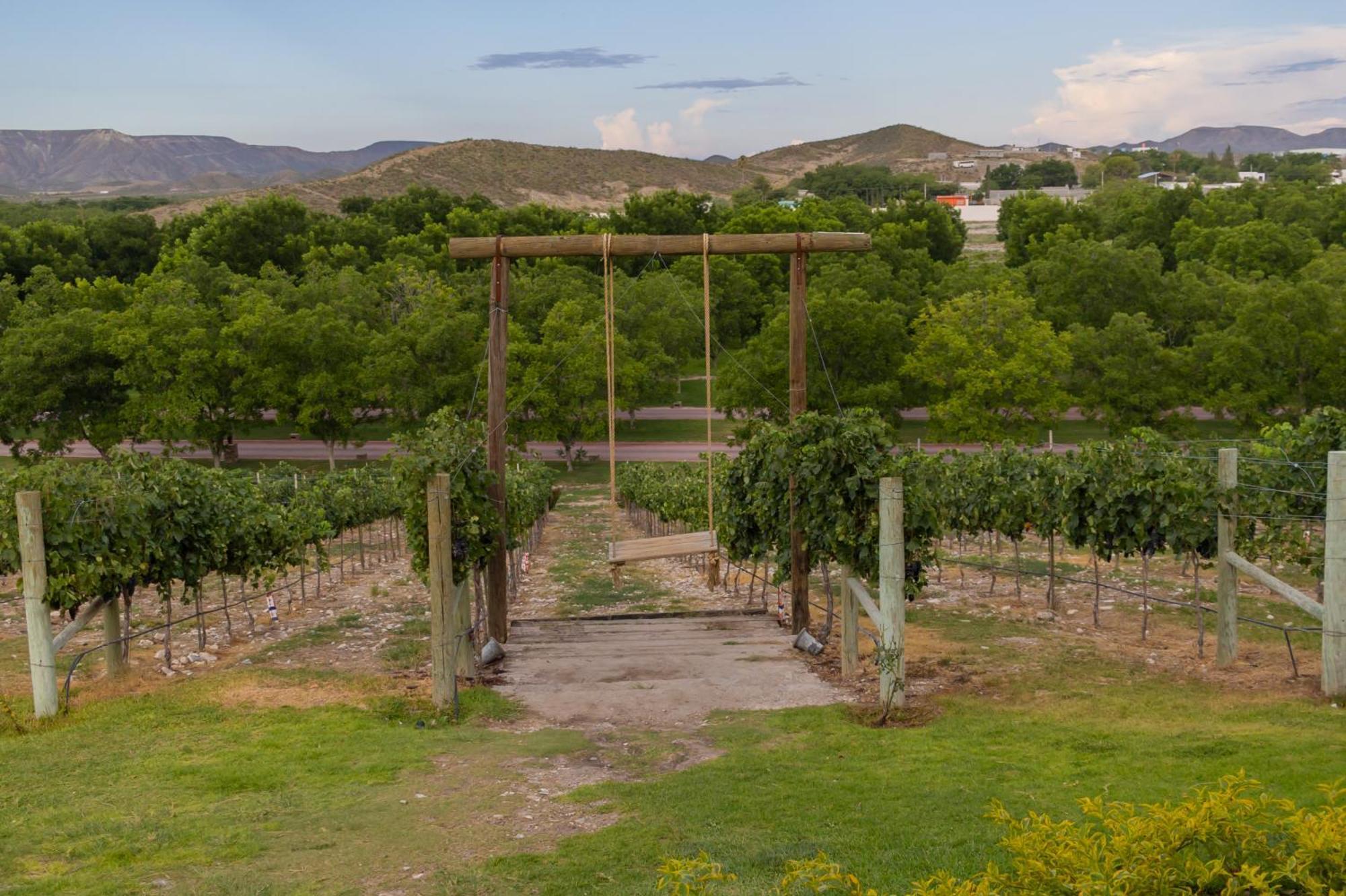 Hotel Vinicola Parvada By Lumina Parras de la Fuente Buitenkant foto