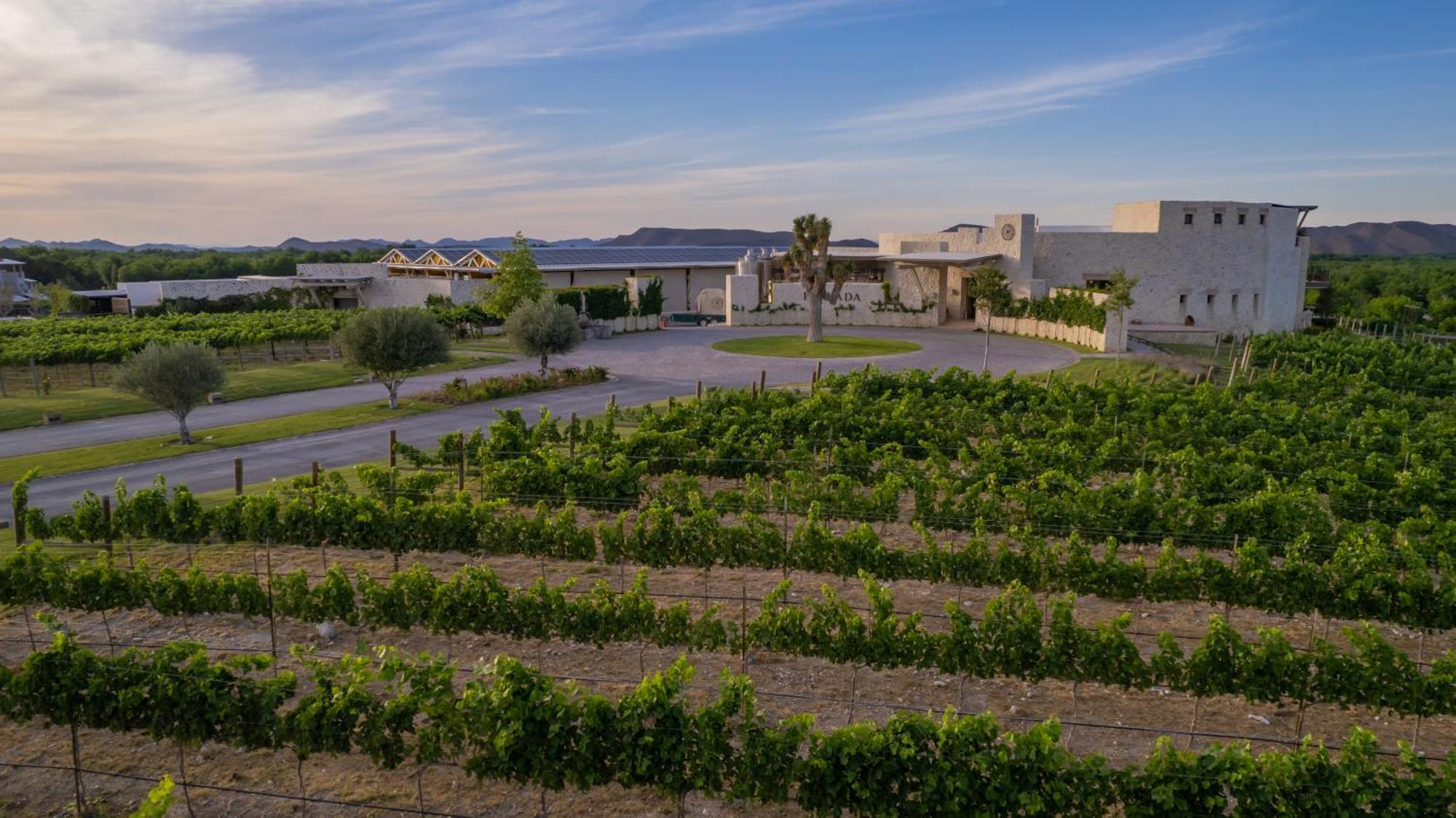 Hotel Vinicola Parvada By Lumina Parras de la Fuente Buitenkant foto