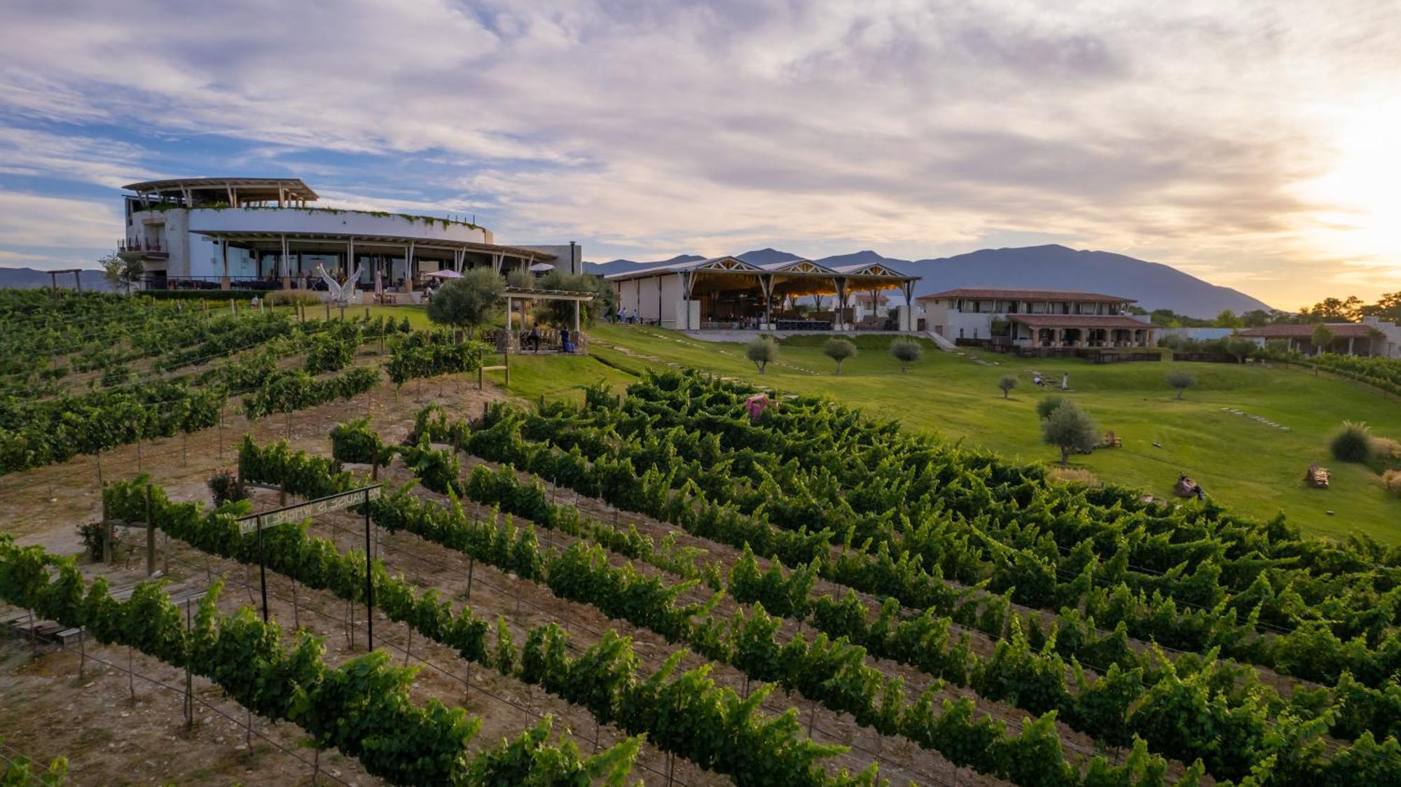 Hotel Vinicola Parvada By Lumina Parras de la Fuente Buitenkant foto